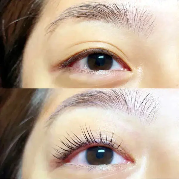 Luxe Eyelash Lifting Kit - Image 6
